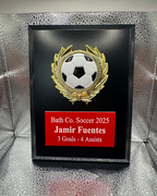 Full Plate & Insert Plaques